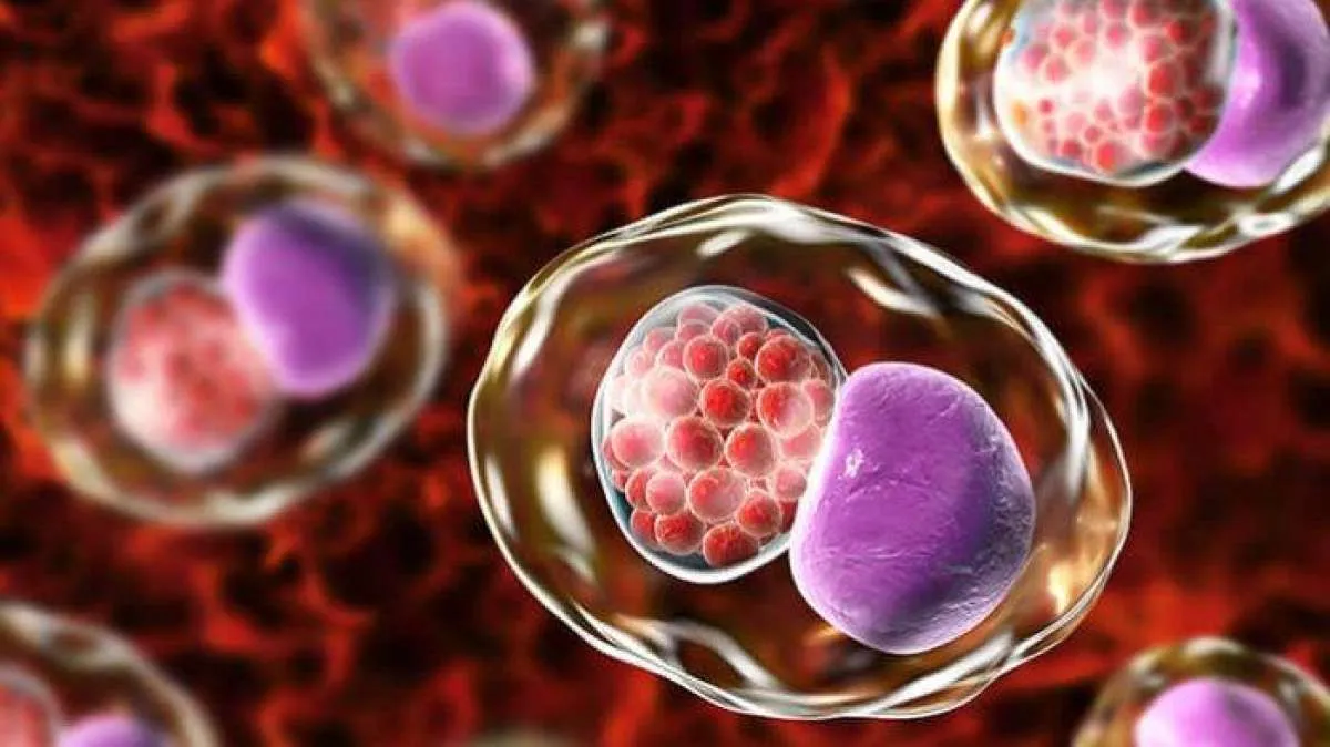 Mengenal Penyakit Seksual Menular Chlamydia: Gejala dan Penyebabnya