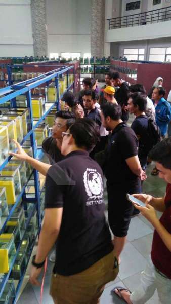 KKP menggelar kontes ikan cupang di Bogor 