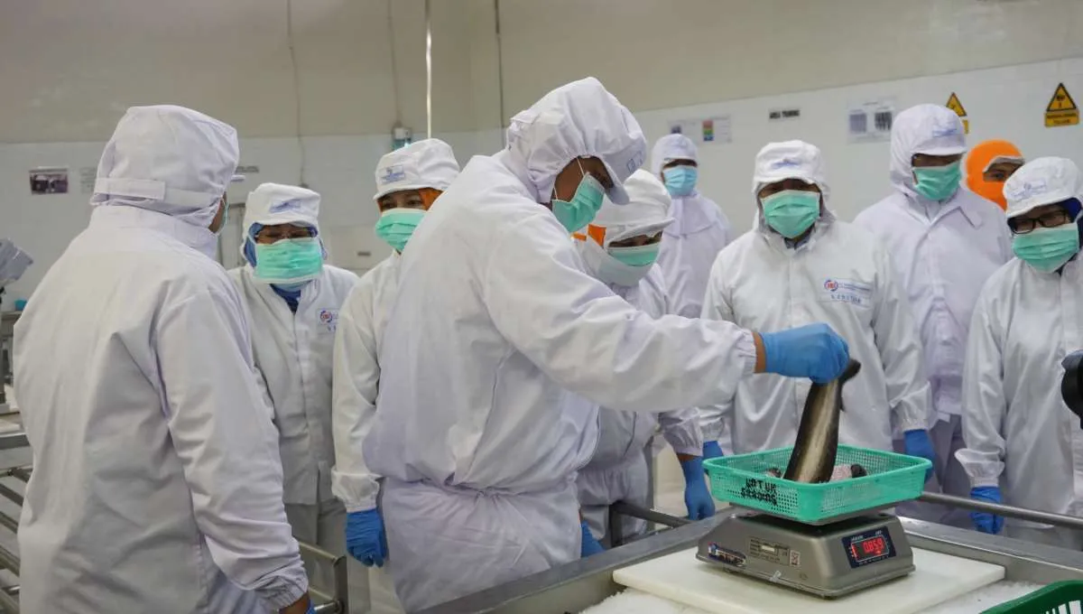 Anak usaha Japfa (JPFA) menyetor Rp 9,8 miliar pada perusahaan patungan indukan udang