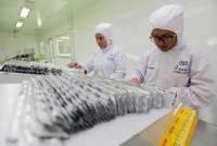 Peluang Menarik Saham Kalbe Farma (KLBF) di Tengah Penurunan Harga