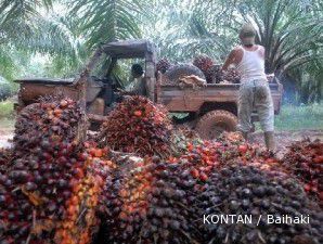 Spekulasi suplai maksimal dan ancaman krisis Jepang menyeret harga CPO