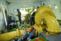 Produsen Cenderung Ekspor Biomassa Ketimbang Jual di Dalam Negeri