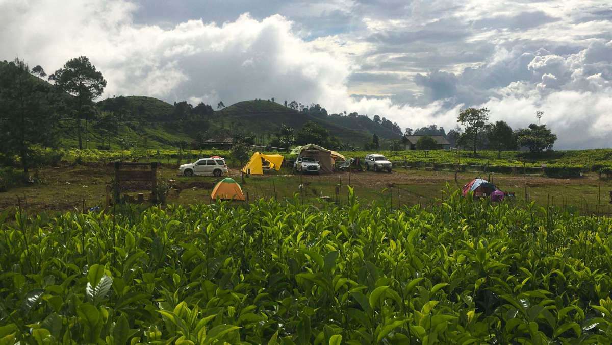 Wisata Alam yang Aman saat Pandemi