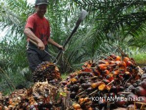 Indonesia tolak Bank Dunia mendanai sawit