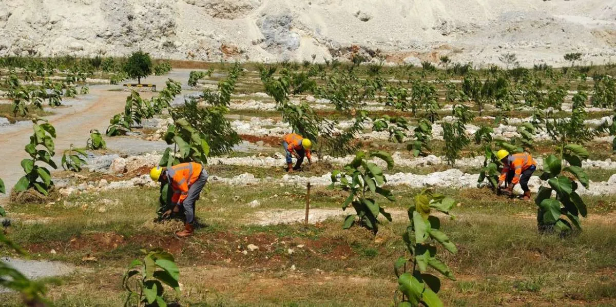 Celios: Indonesia Butuh Rp 892 Triliun untuk Ekonomi Restoratif hingga 2045