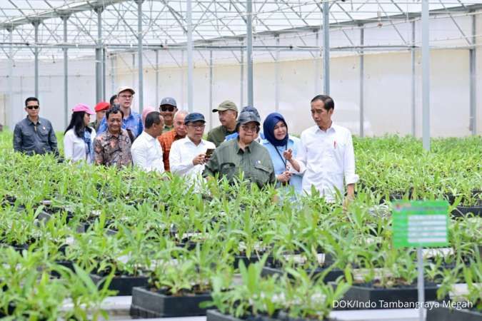 Direktur SR&M PT Indo Tambangraya Megah Tbk, Ignatius Wurwanto (keempat dari kanan), turut dalam rombongan Presiden meninjau Persemaian Mentawir. Kedua dan ketiga dari depan adalah Dirjen PDASRH KLH&K Diah Murtiningsih, dan Menteri LH&K Siti Nurbaya Bakar.