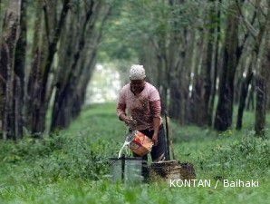 Harga karet merambat naik, tapi belum menetes pada petani