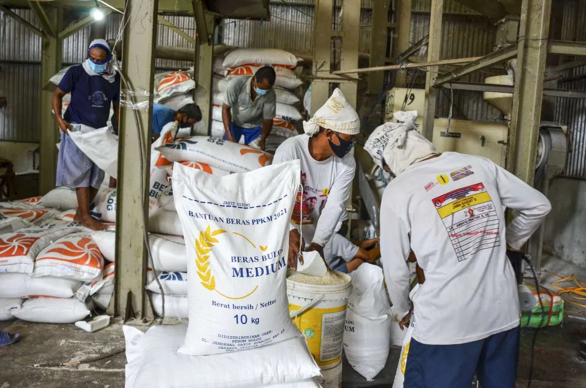 Jika Cadangan Kurang, Bulog Buka Opsi Impor 500.000 Ton Beras