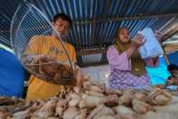 Agar Keran Kredit ke UMKM Makin Mengucur