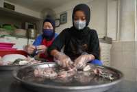 KKP Lapor Kinerja Ekspor Perikanan Tembus Rp 84,54 Triliun hingga Oktober 2025