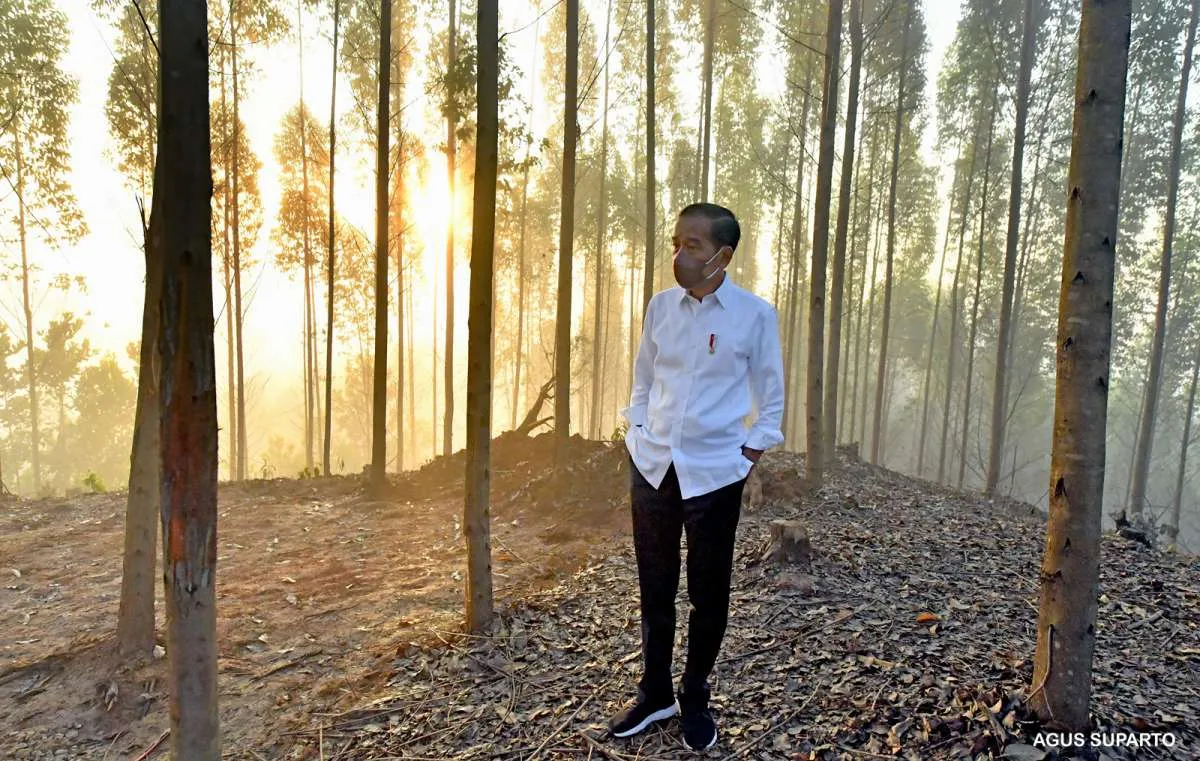 KSP: Pemilik Tanah di Wilayah IKN Bisa Ajukan Klaim