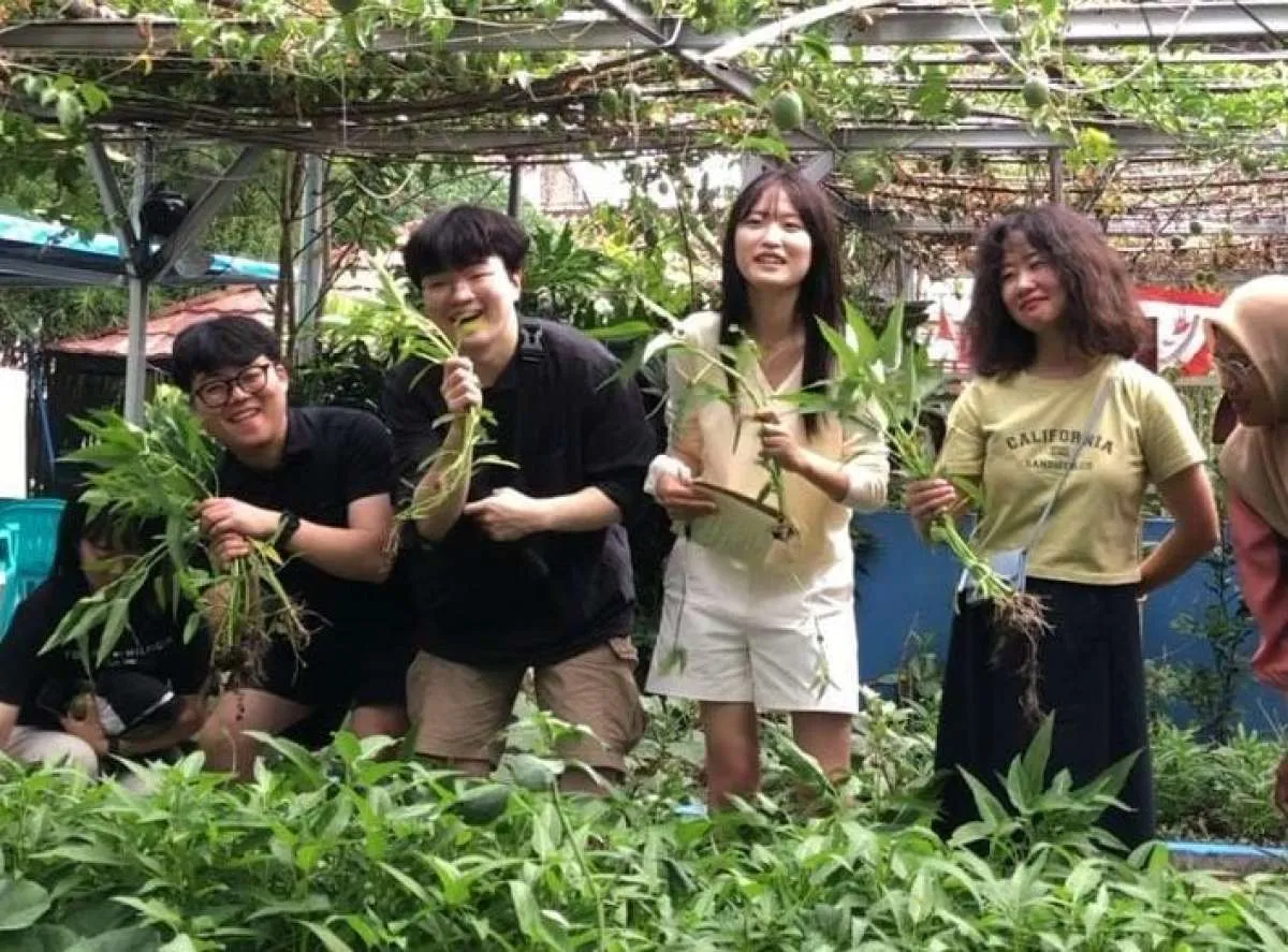 The Bridge International Kunjungi Jasmine Integrated Farming - CSR Binaan WEGE