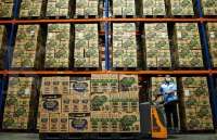 Jadwal Imsak Sidoarjo Selasa (17/3): Puasa dan Mudik Lebih Lancar, Ini Waktunya!