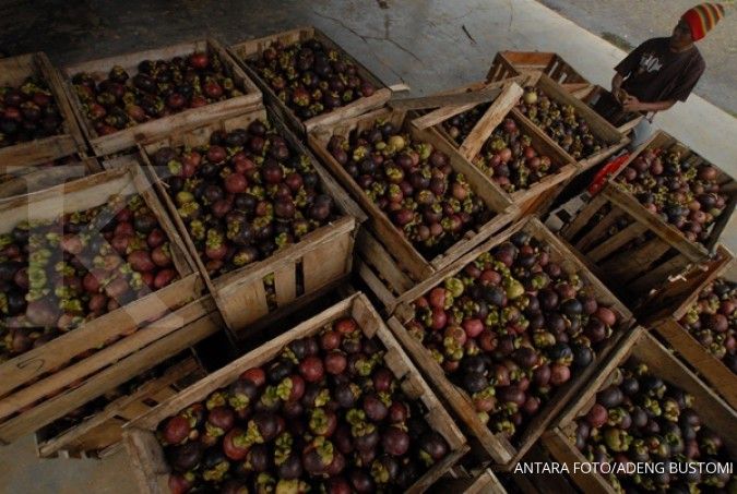 Kemtan gencar promosikan buah manggis ke China