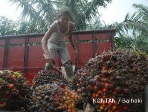 Godrej: Indonesia harus hentikan pungutan BK CPO