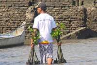 Hari Mangrove Sedunia Jadi Momentum BNI Perkuat Komitmen Lingkungan & Ekonomi Pesisir
