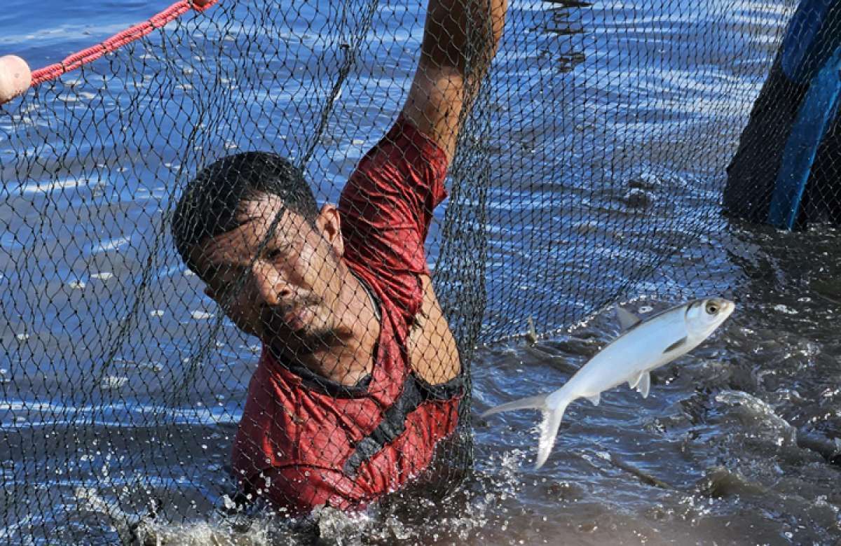 Siasat Desa Meunasah Asan yang Memancing Devisa dari Umpan Pancing Tuna