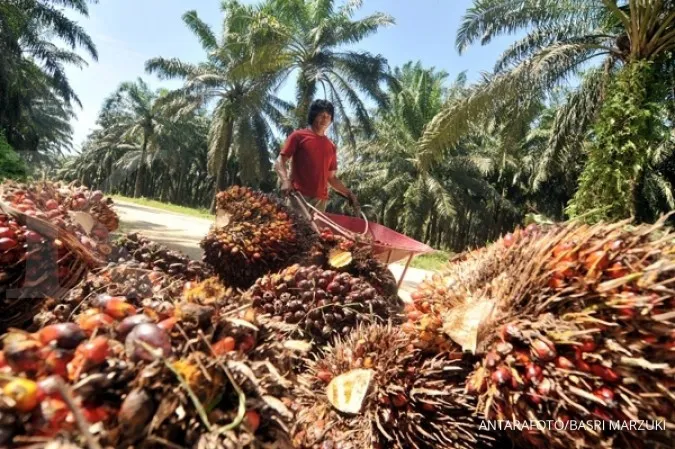 The Govt to impose 5-years palm oil moratorium