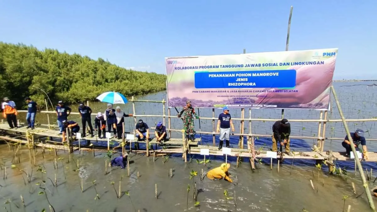 Rayakan HUT RI Ke-78, PNM Tanam 22.000 Pohon Mangrove Untuk Bantu Tekan Polusi