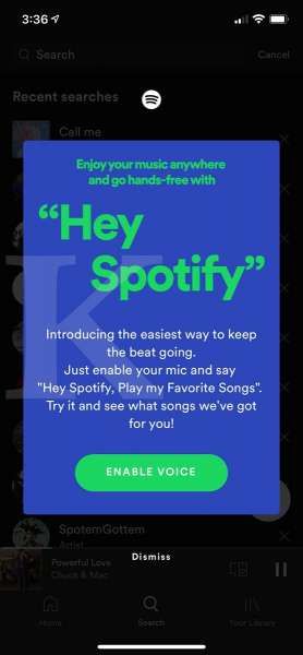 Tampilan Hey Spotify di aplikasi Spotify