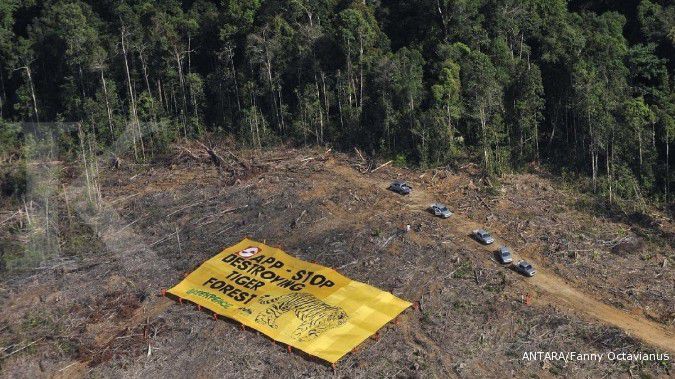 Greenpeace temukan 25 industri minyak sawit masih gunduli hutan
