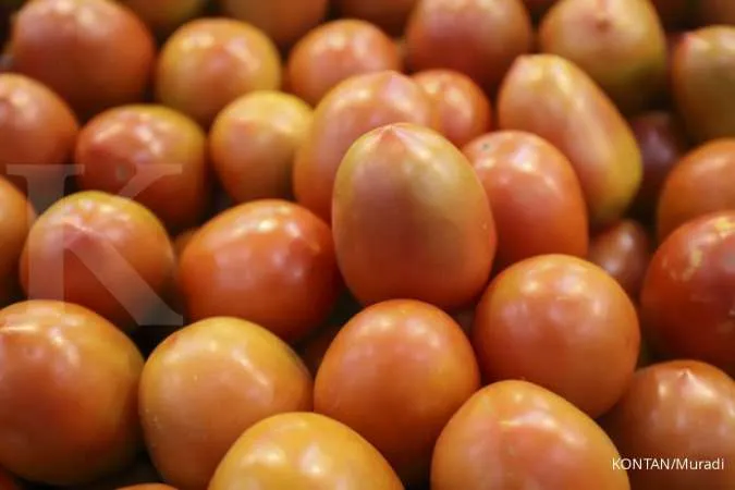 Buah tomat