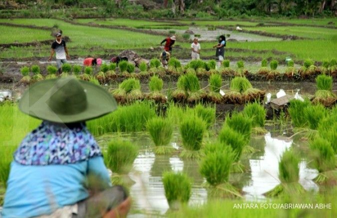 82% Desa di Indonesia masih andalkan pertanian