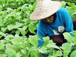 Realisasi anggaran kebun bibit rakyat baru 40%