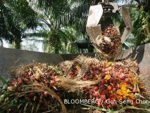 Spekulasi stok melimpah, CPO tergerus 4% dalam sepekan