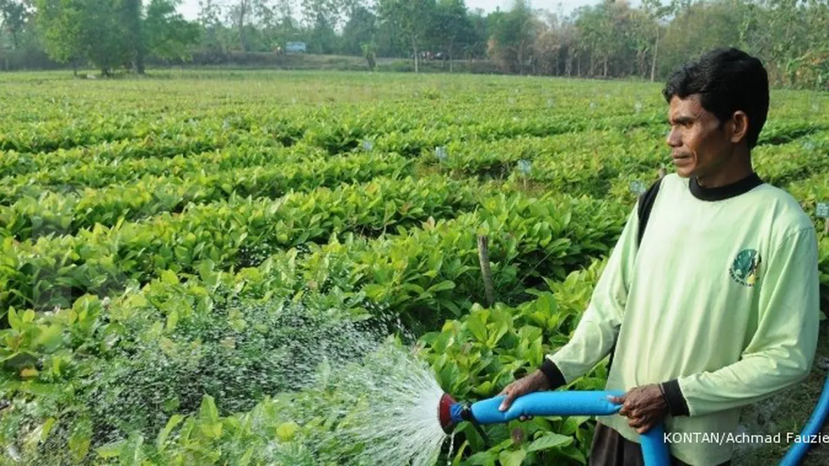 Masyarakat bisa kelola lahan Perhutani 35 tahun