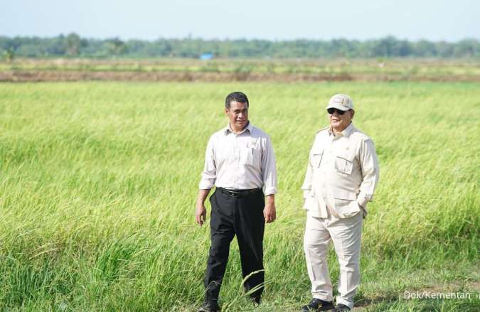 Dampingi Prabowo, Mentan Beberkan Progres Pegembangan Lahan Pertanian di Merauke