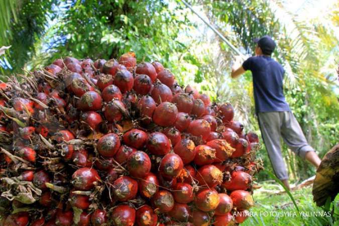 BPDPKS sebut industri kelapa sawit masih menjadi komoditas strategis penghasil devisa
