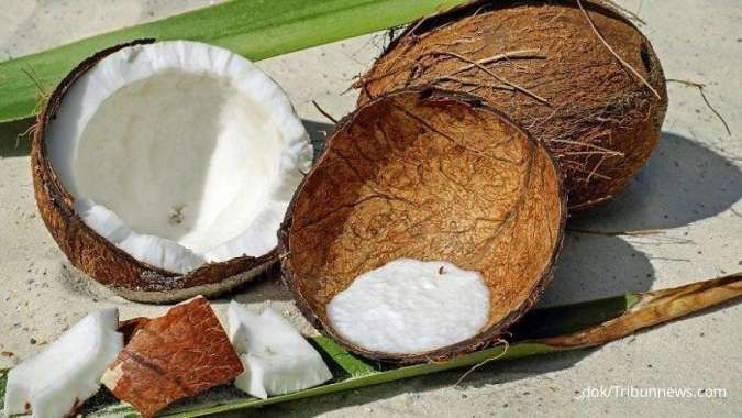 11 Manfaat Kelapa yang Kaya Vitamin dan Mineral, Bisa Mencegah Osteoporosis 