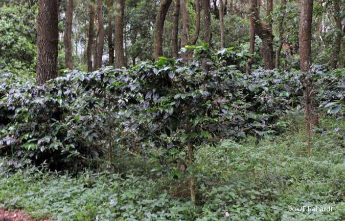 Komisi IV DPR Tolak Kepmen LHK Soal Penetapan KHDPK Sebagian Hutan di Pulau Jawa