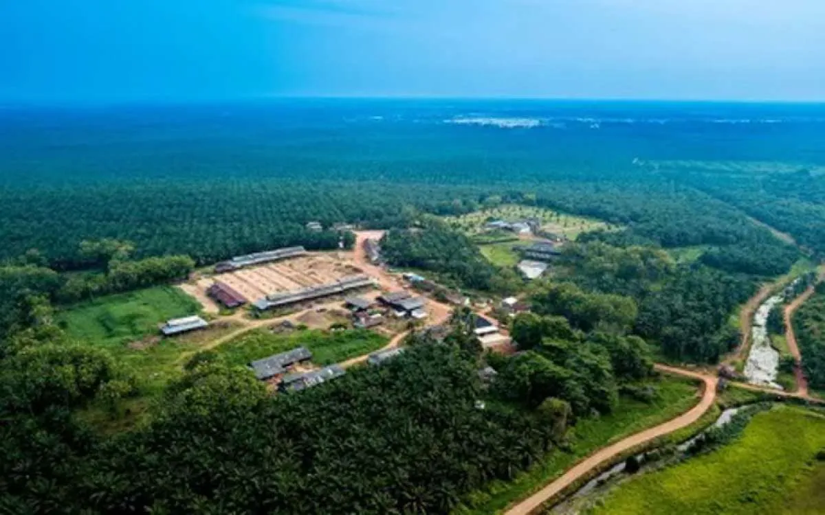 Pulau Subur (PTPS) Targetkan Laba Usaha Rp 29 Miliar