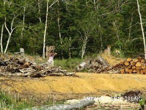 Atasi kebakaran hutan, pemerintah siapkan dana Rp 100 miliar 