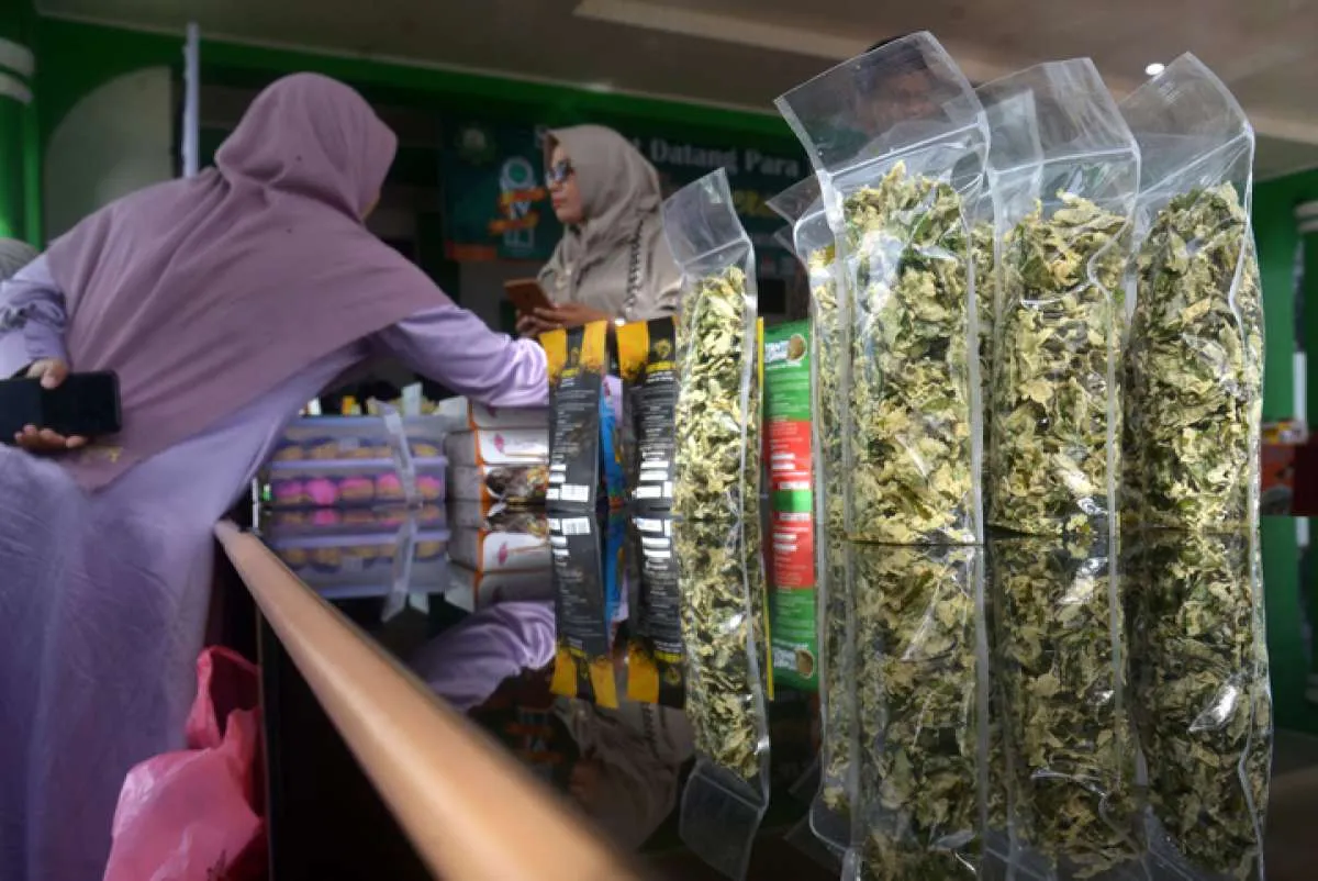 BI Catat Kegiatan Usaha Makin Menggeliat pada Kuartal I 2023