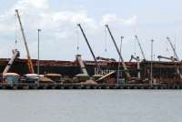 Kebutuhan Besar, India Masih Butuh CPO Indonesia