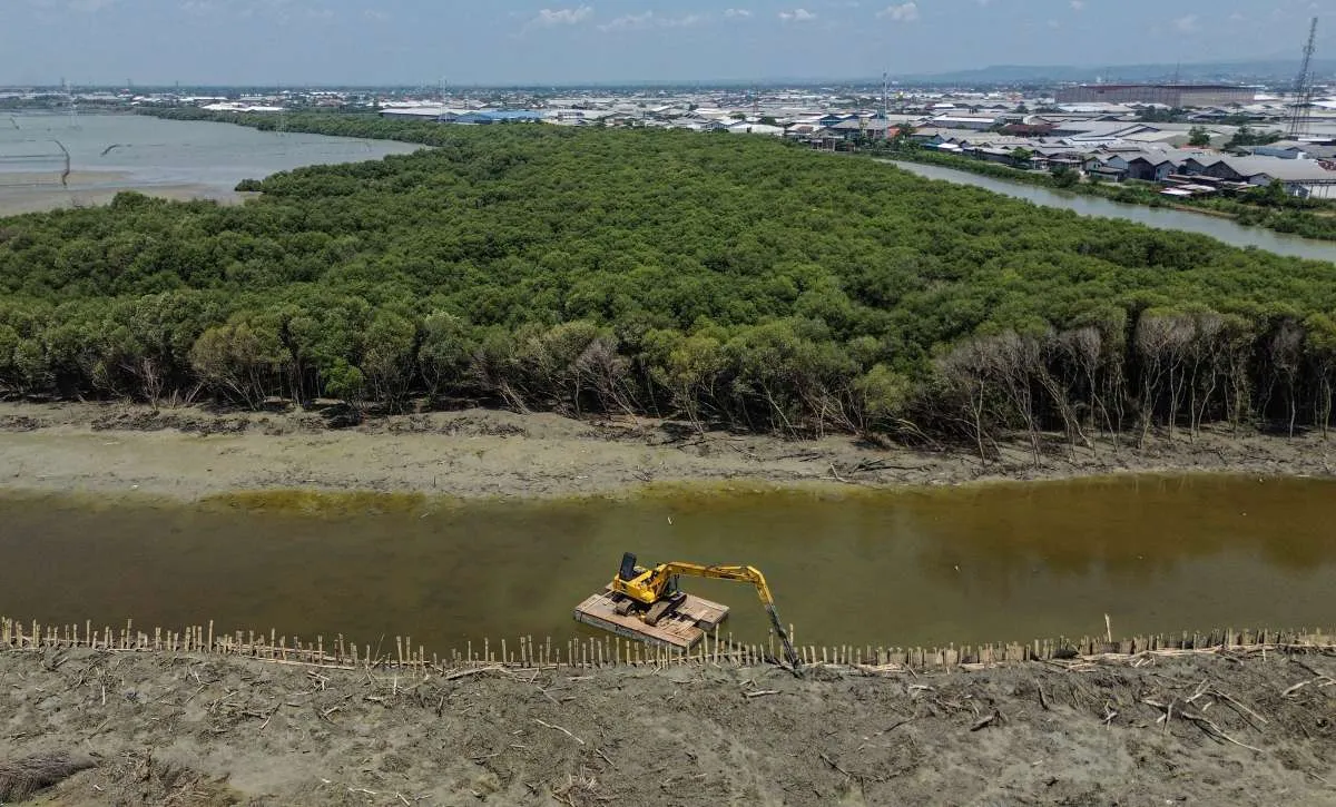 Asia Pasifik Jadi Kunci Sukses Transisi Net Zero Dunia