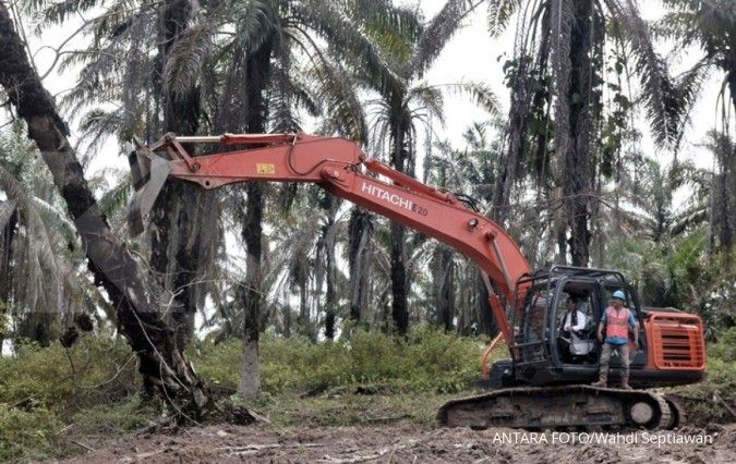 B50 Diluncurkan, Gapki Minta Target Peremajaan Sawit Rakyat Dikebut