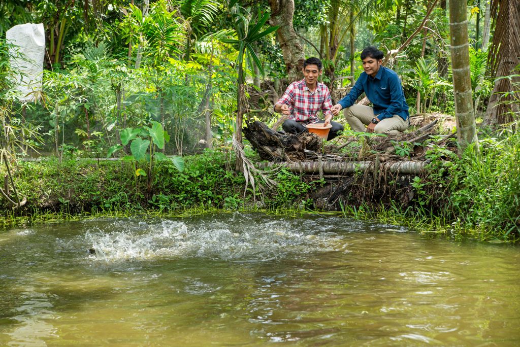 Kontan - Bukit Asam Kilas Online.