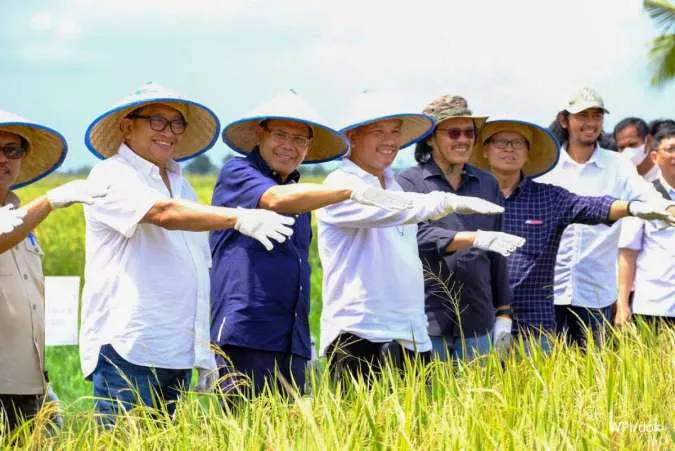 Harvest Festival Begins, Ministry of Agriculture Ensures Sufficient Rice Stock