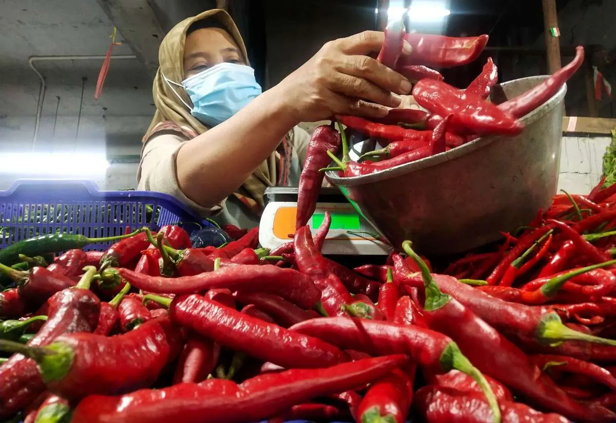 Harga cabai makin pedas, Kementan: Pekan depan harga akan turun
