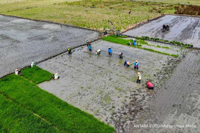 Nilai Tukar Petani Meningkat 0,63% pada September 2025