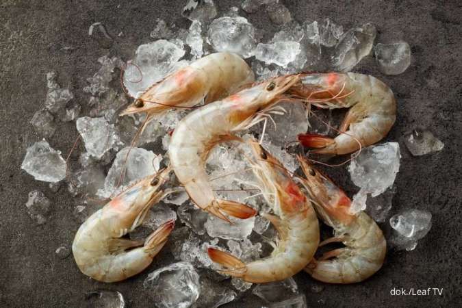 5 Tips Menghilangkan Bau Amis Pada Udang