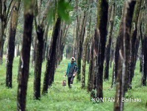 Saham UNSP dan LSIP terseret koreksi harga karet