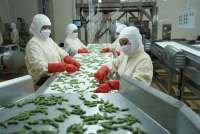 Ada Transaksi Jumbo Rp 5,54 Triliun, Pemegang Saham Pengendali ANJT Resmi Beralih