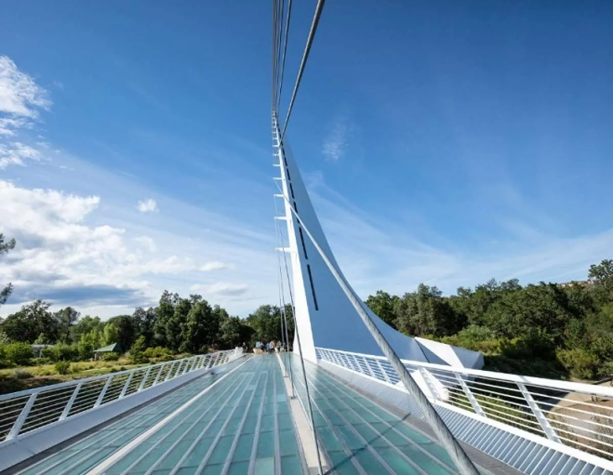 Jejakin Wujudkan Masa Depan Rendah Karbon Bersama Microsoft