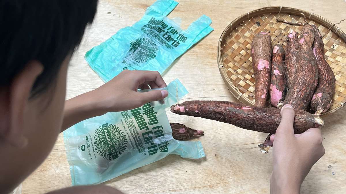 Kantong Singkong Naik Kelas