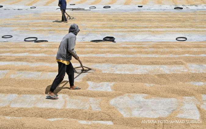 BPS Proyeksikan Produksi Gabah dan Padi Meningkat Pada November 2025-Januari 2026